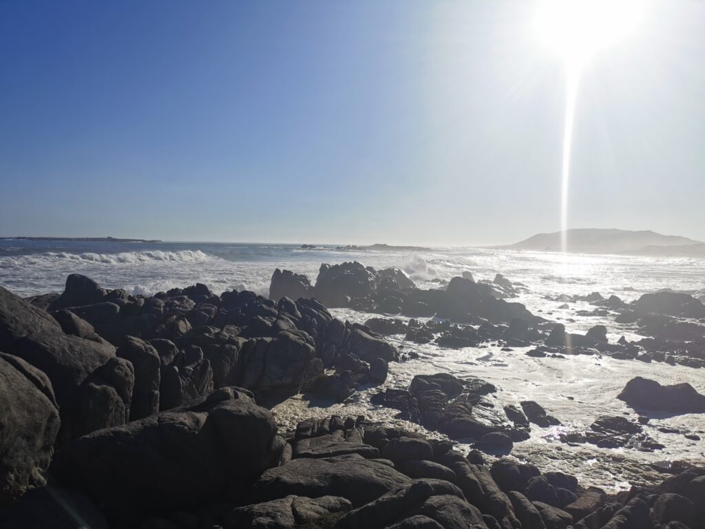 West Coast Waves West Coast Waves